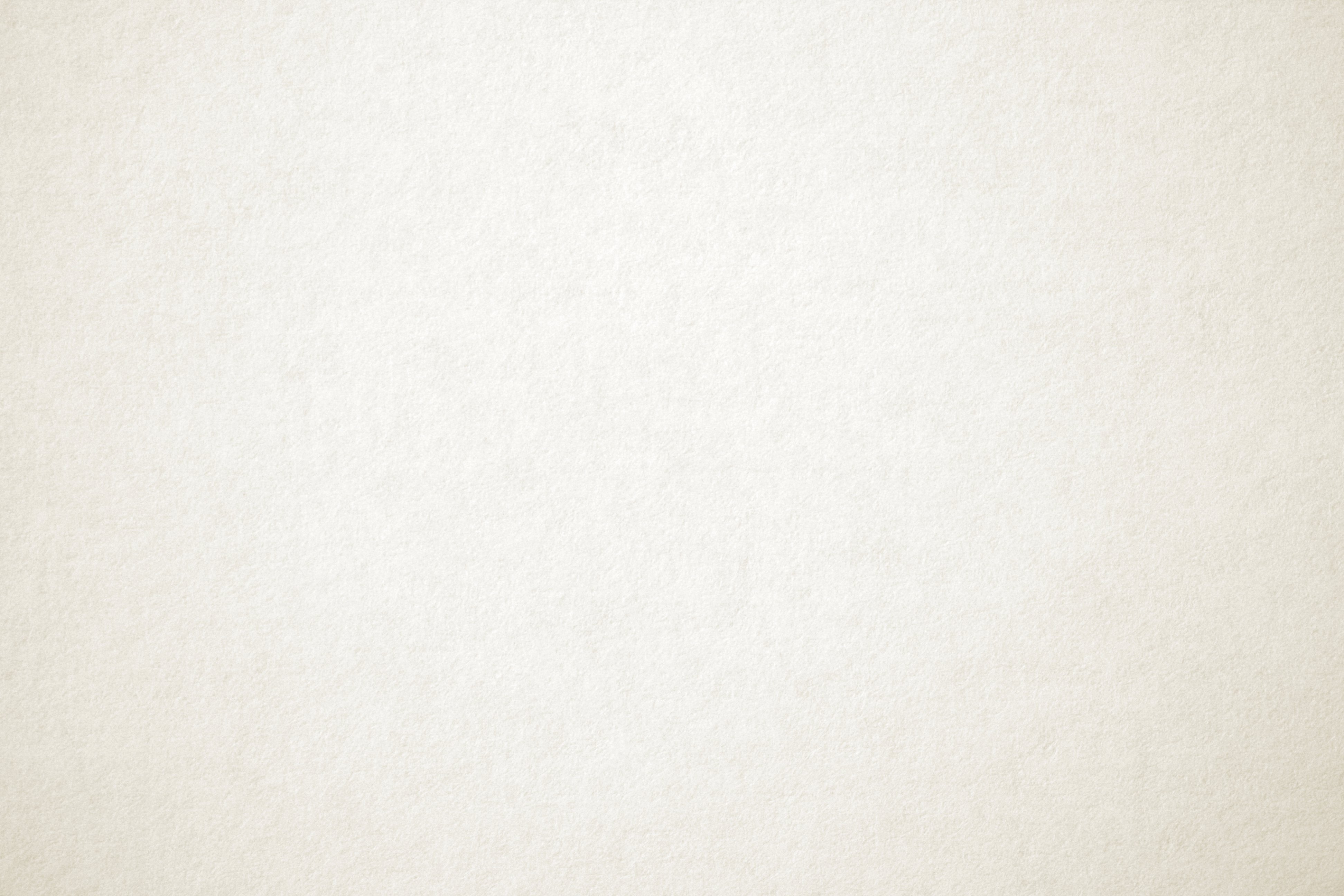 White & Cream White & Cream